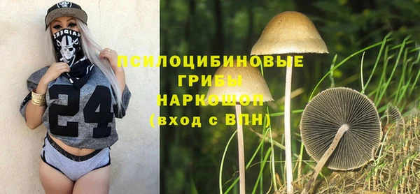 стаф Абаза