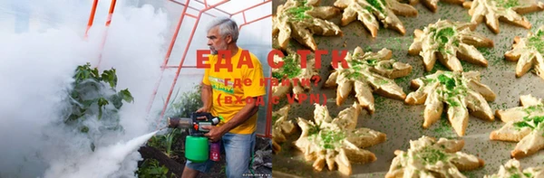 стаф Абаза