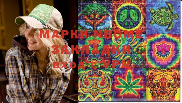 стаф Абинск