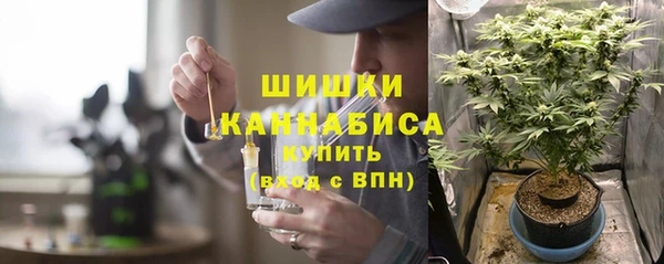 крисы Абдулино