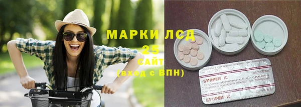 стаф Абаза